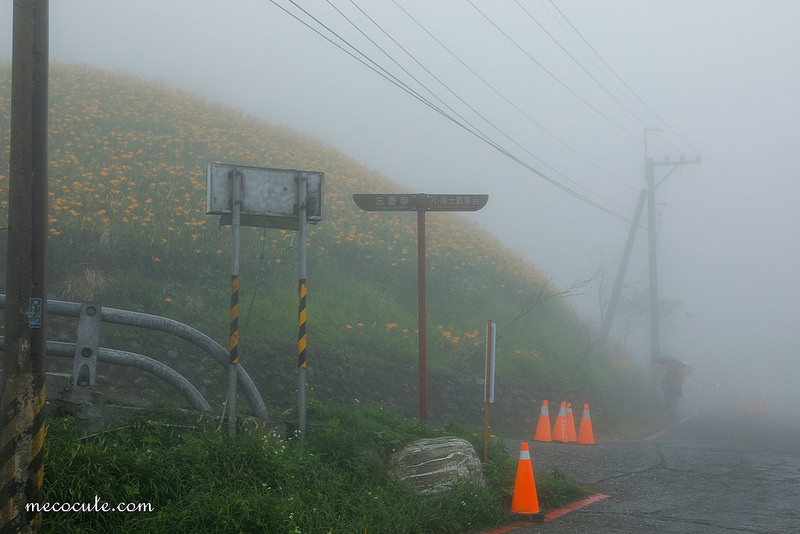 @陳小可的吃喝玩樂