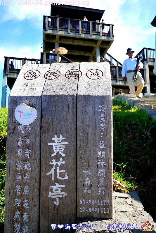 【花蓮旅遊】2014年六十石山金針花♥爆肝也要前往!!一張張如明信片般動人的美景就在眼前~