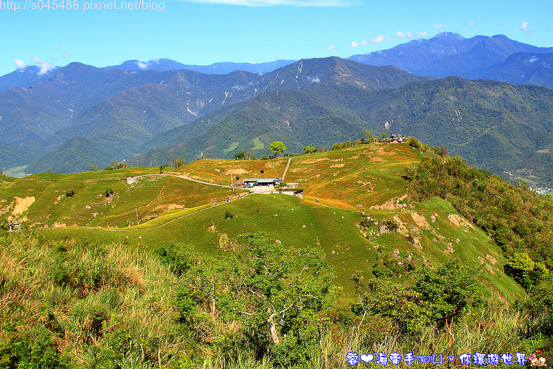 【花蓮旅遊】2014年六十石山金針花♥爆肝也要前往!!一張張如明信片般動人的美景就在眼前~