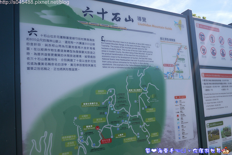 【花蓮旅遊】2014年六十石山金針花♥爆肝也要前往!!一張張如明信片般動人的美景就在眼前~