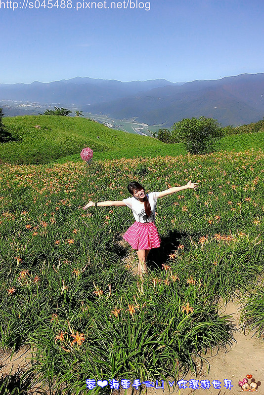 【花蓮旅遊】2014年六十石山金針花♥爆肝也要前往!!一張張如明信片般動人的美景就在眼前~