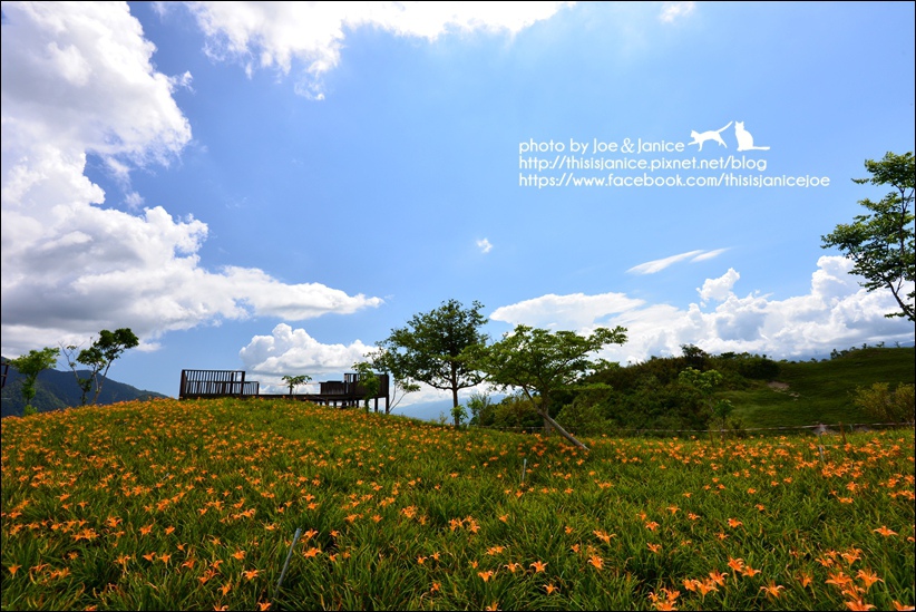 DSC_9035.JPG DSC_9035.JPG