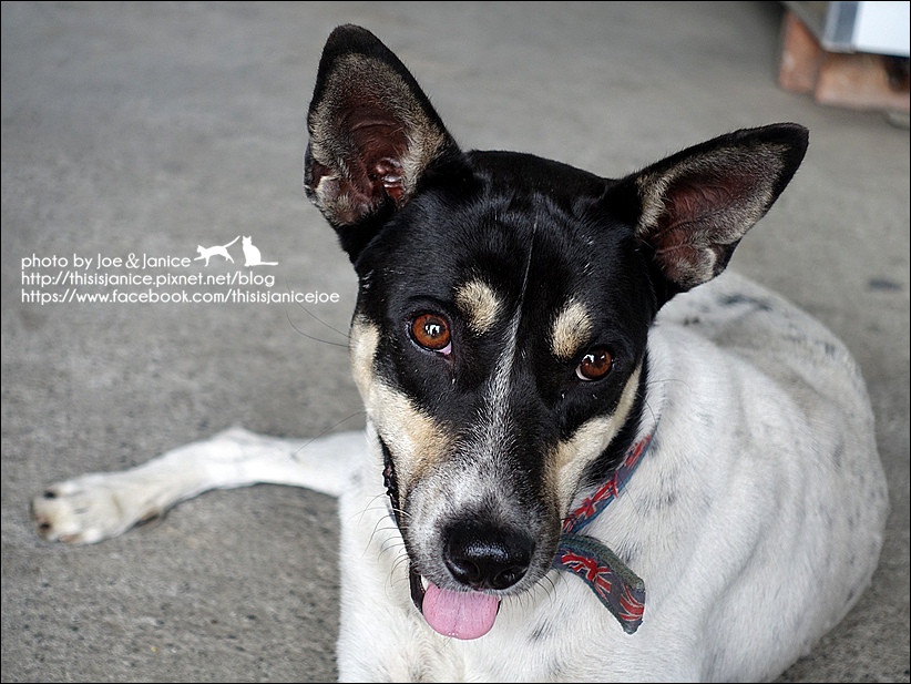 DSC00536.JPG DSC00536.JPG