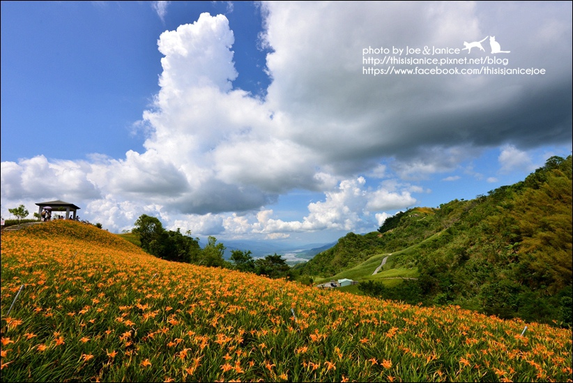 DSC_9037.JPG DSC_9037.JPG