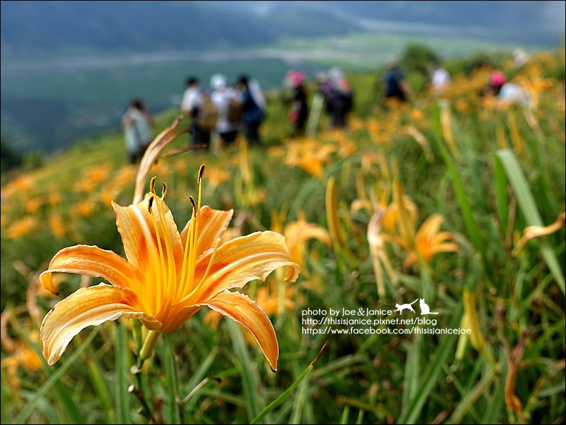 DSC00548.JPG DSC00548.JPG