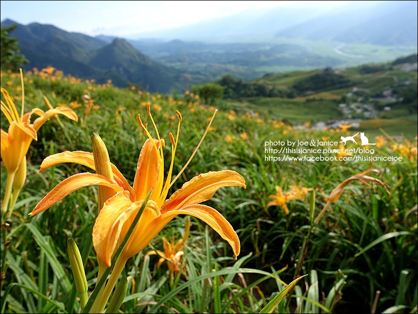 DSC00543.JPG DSC00543.JPG