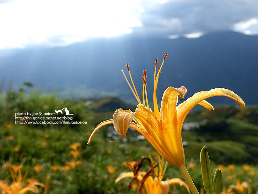 DSC00552.JPG DSC00552.JPG