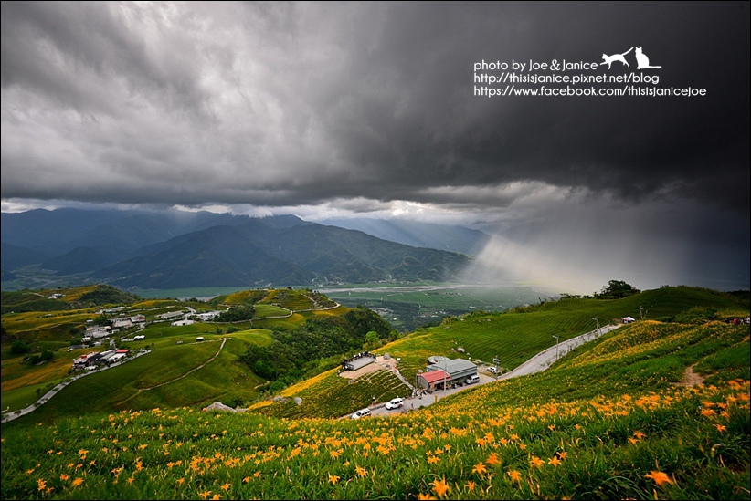 DSC_9317.jpg DSC_9317.jpg