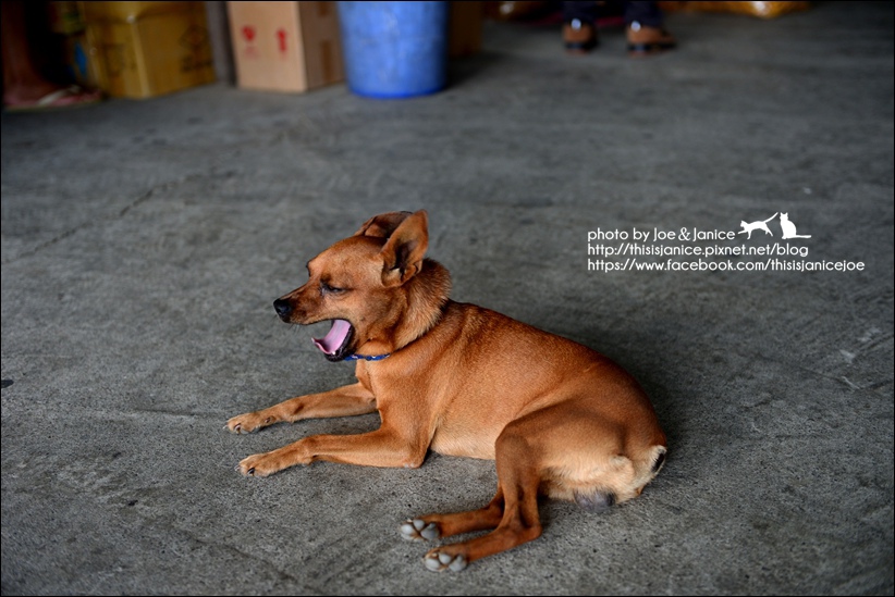 DSC_9200.JPG DSC_9200.JPG