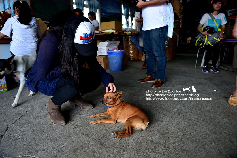 DSC_9204.JPG DSC_9204.JPG