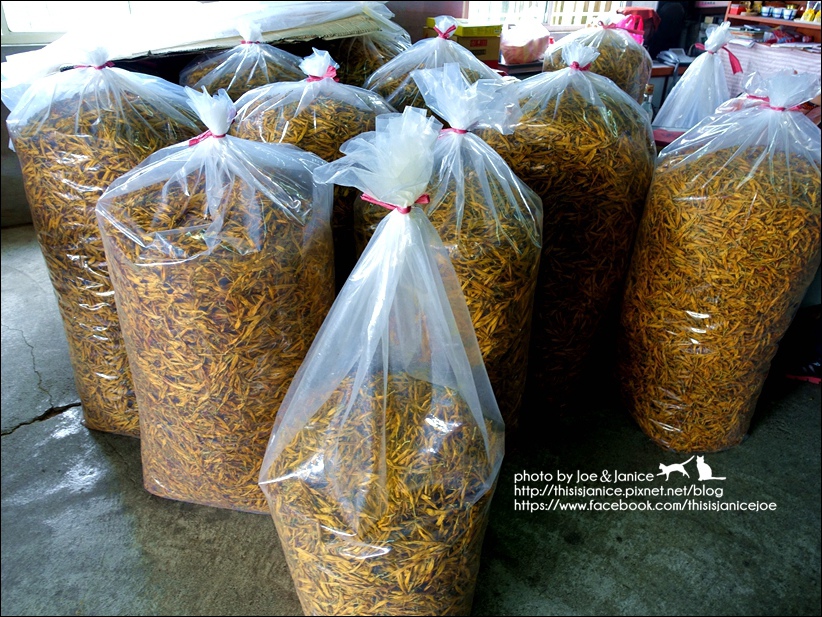 DSC00528.JPG DSC00528.JPG