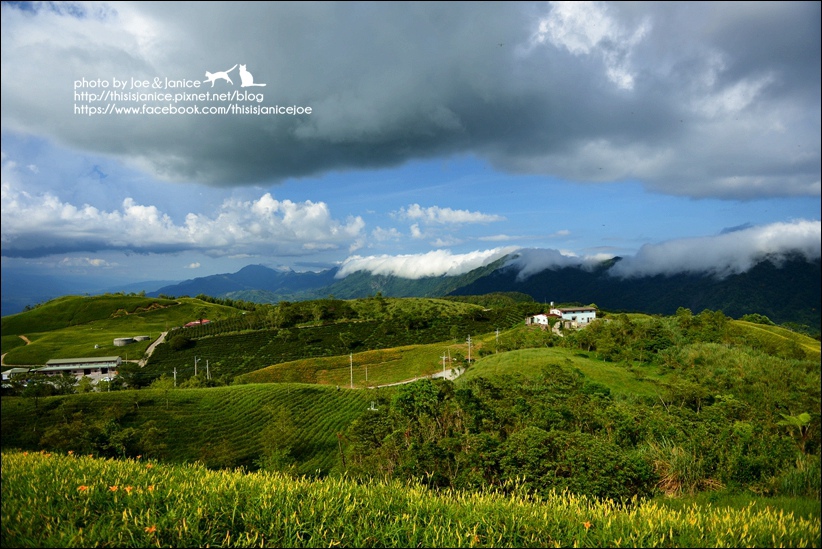 DSC_9195.JPG DSC_9195.JPG