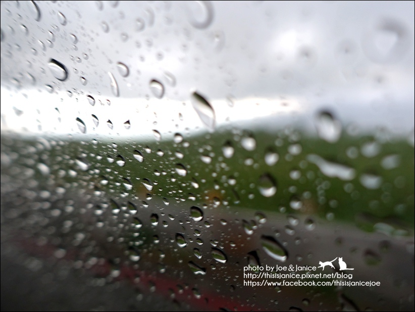 DSC00575.JPG DSC00575.JPG