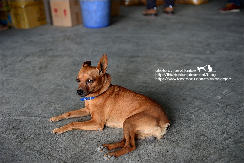 DSC_9202.JPG DSC_9202.JPG