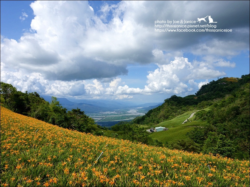 DSC00489.JPG DSC00489.JPG