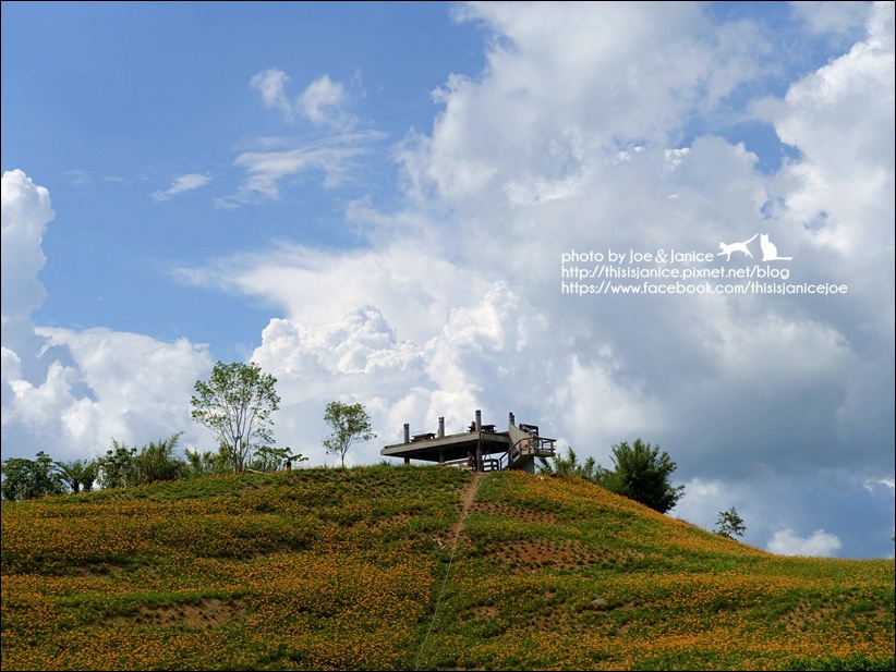 DSC00495.JPG DSC00495.JPG