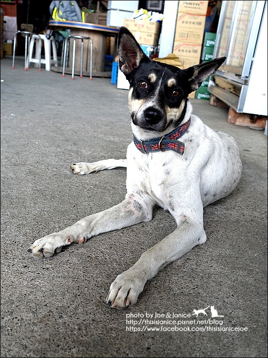 DSC00533.JPG DSC00533.JPG