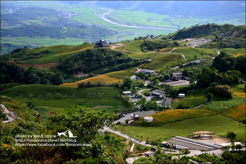 DSC_9217.JPG DSC_9217.JPG