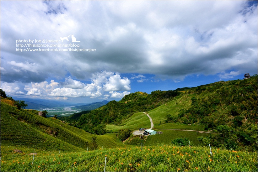 DSC_9050.JPG DSC_9050.JPG