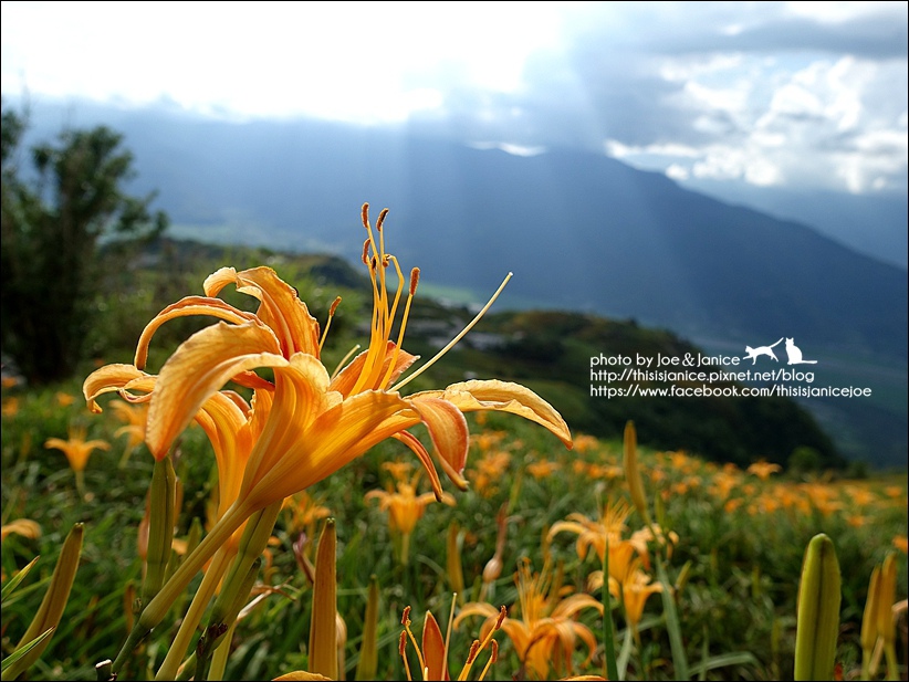 DSC00545.JPG DSC00545.JPG