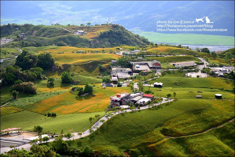 DSC_9214.JPG DSC_9214.JPG