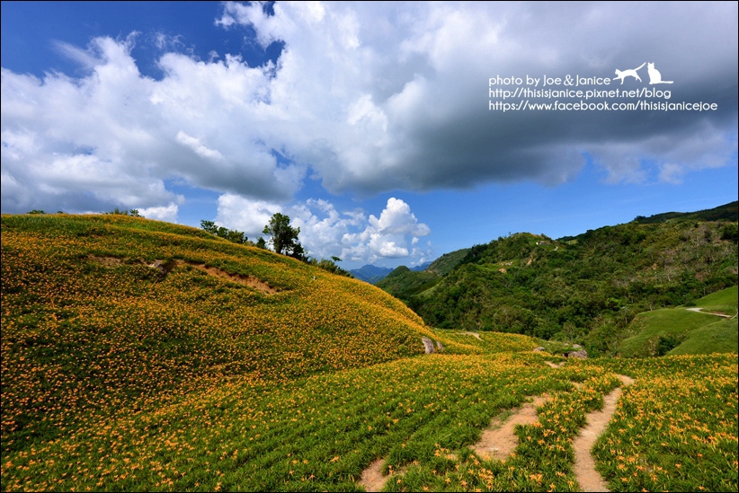 DSC_9069.JPG DSC_9069.JPG