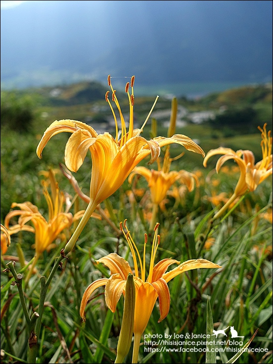 DSC00551.JPG DSC00551.JPG