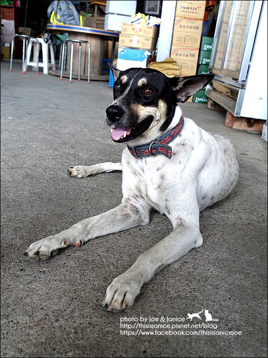 DSC00534.JPG DSC00534.JPG