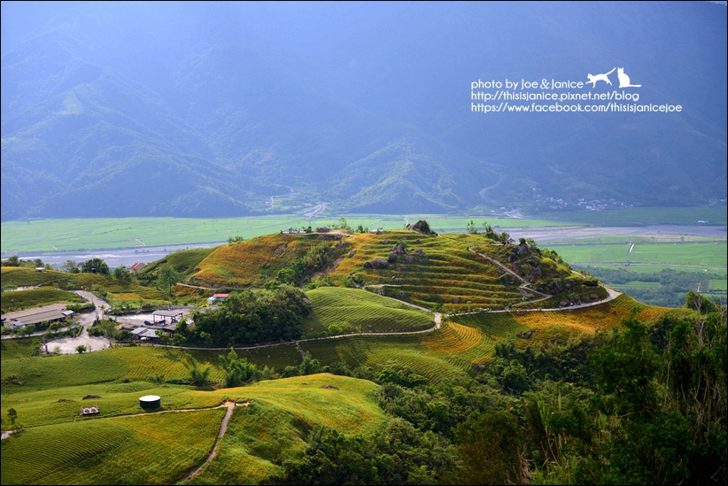 DSC_9210.JPG DSC_9210.JPG