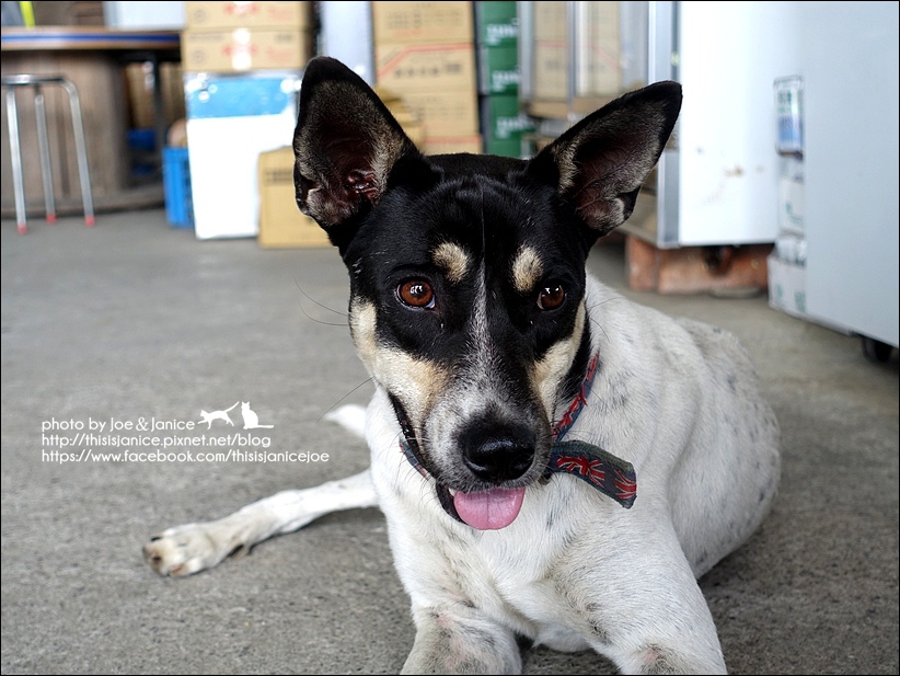 DSC00532.JPG DSC00532.JPG