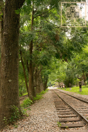 DSC_01290.jpg DSC_01290.jpg