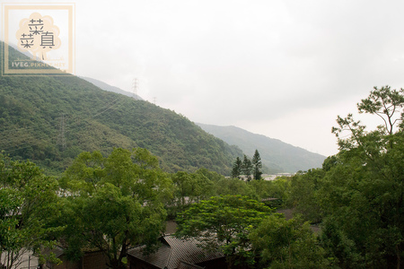 DSC_01100.jpg DSC_01100.jpg