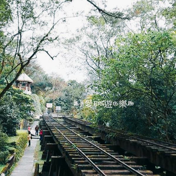 21476068_1543906328963915_225842107_n