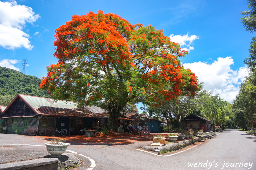 花蓮鳳林|林田山林業文化園區,充滿濃濃日式懷舊風光