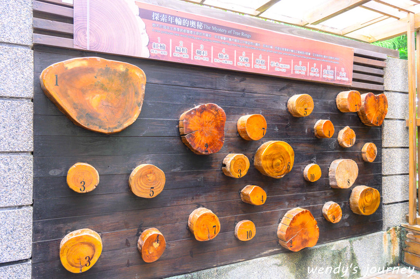 花蓮鳳林|林田山林業文化園區,充滿濃濃日式懷舊風光