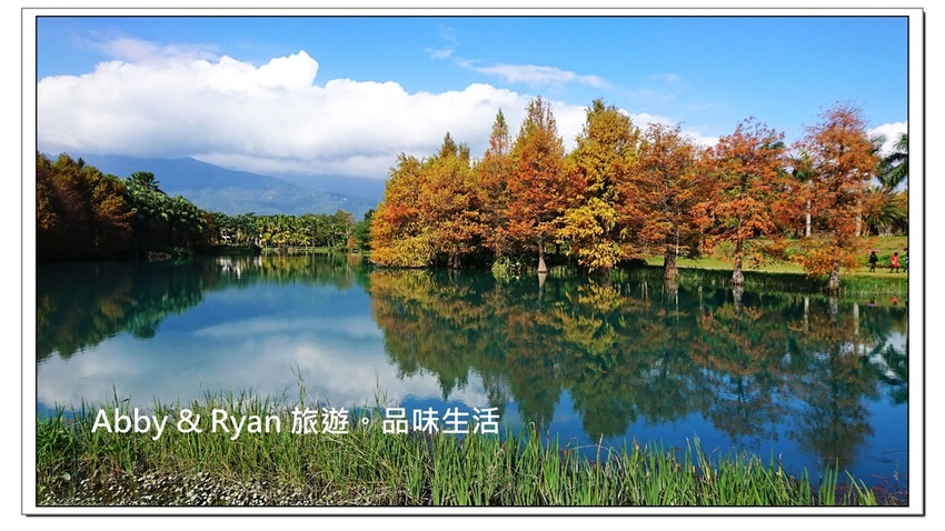 newDSC_3039.jpg newDSC_3039.jpg