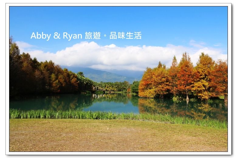 newIMG_0797.jpg newIMG_0797.jpg