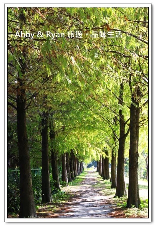 newIMG_0835.jpg newIMG_0835.jpg