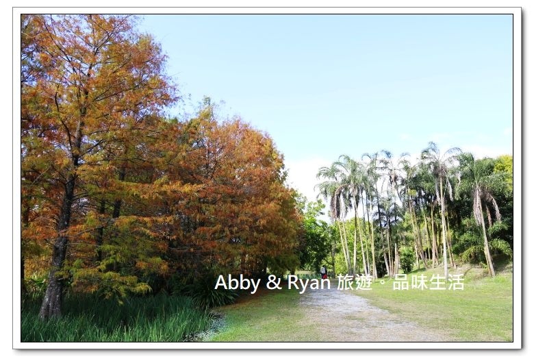 newIMG_0822.jpg newIMG_0822.jpg