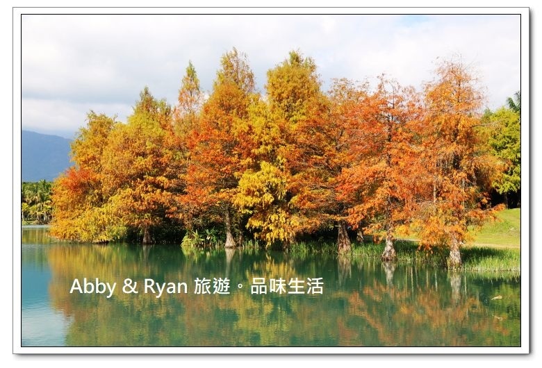 newIMG_0855.jpg newIMG_0855.jpg