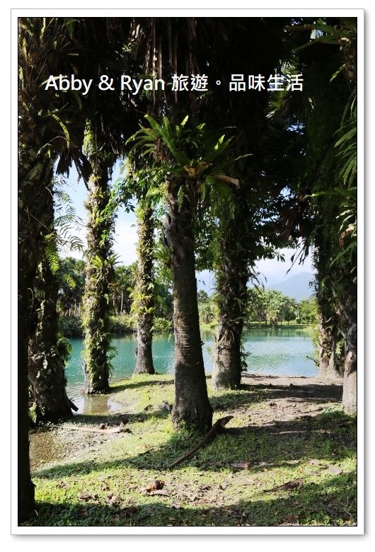 newIMG_0830.jpg newIMG_0830.jpg