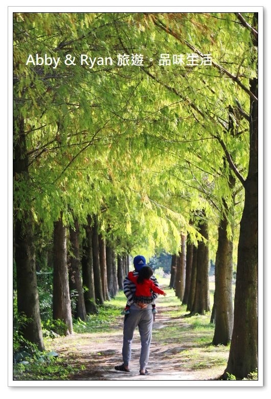 newIMG_0845.jpg newIMG_0845.jpg