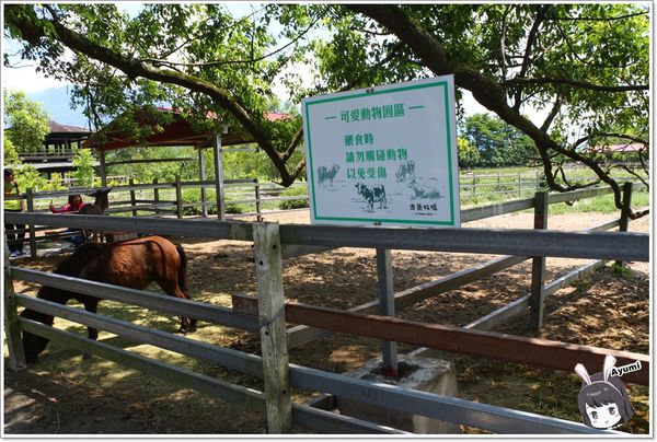 吉蒸牧場：[遊記+食記]►花蓮瑞穗◄吉蒸牧場-吉蒸鮮奶火鍋／吉蒸鮮奶饅頭／吉蒸鮮奶酪／可愛動物園區／親子旅遊好去處