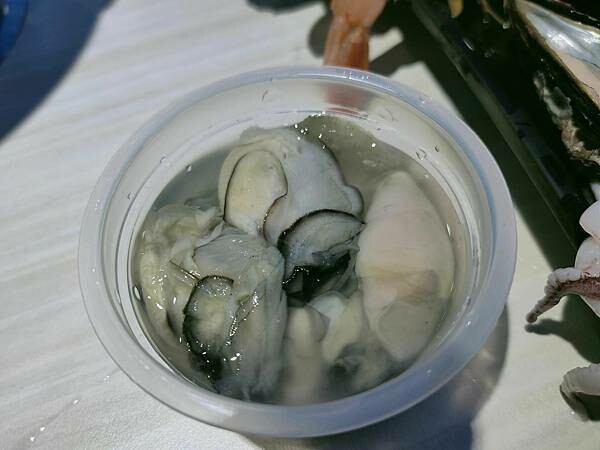 316677418_6270938222919851_8516335651770236214_n.jpg 316677418_6270938222919851_8516335651770236214_n.jpg