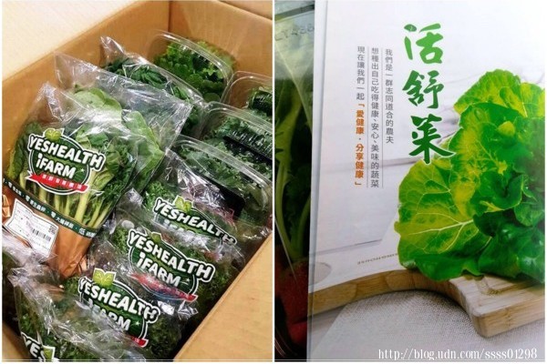 【花蓮旅遊行程規劃】花蓮市區非玩不可!漫遊鐵道文化園區 必吃高人氣包子、蒸餃 還有噱頭十足的鋼管紅茶!