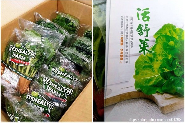 【花蓮旅遊行程規劃】花蓮市區非玩不可!漫遊鐵道文化園區 必吃高人氣包子、蒸餃 還有噱頭十足的鋼管紅茶!