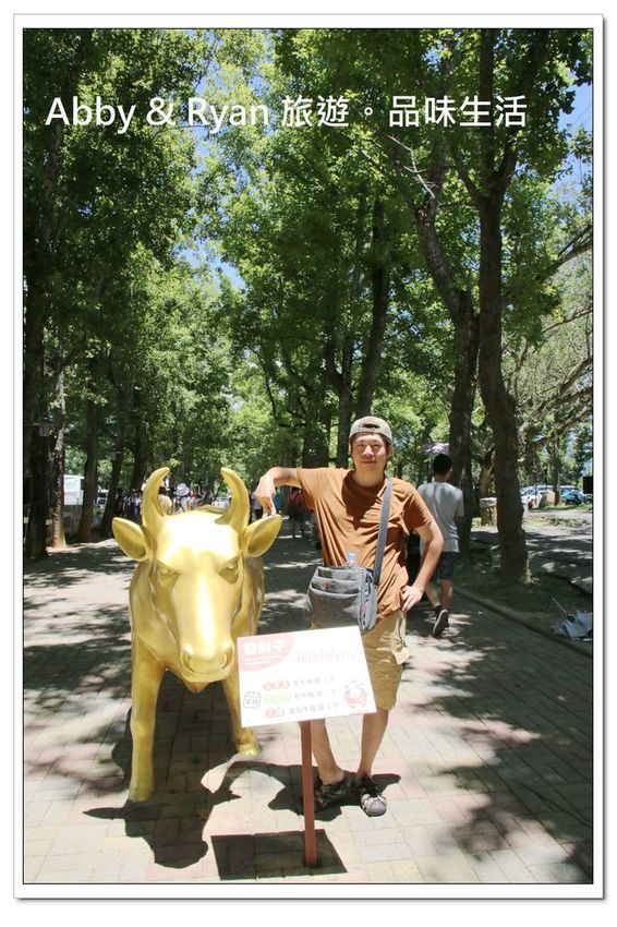 newIMG_2517.jpg newIMG_2517.jpg