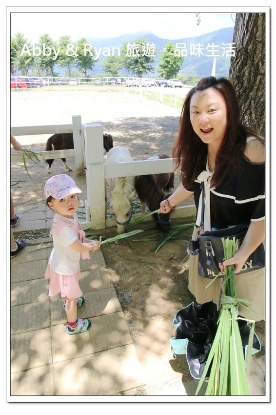 newIMG_2493.jpg newIMG_2493.jpg