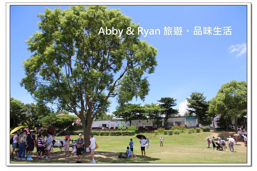 newIMG_2584.jpg newIMG_2584.jpg