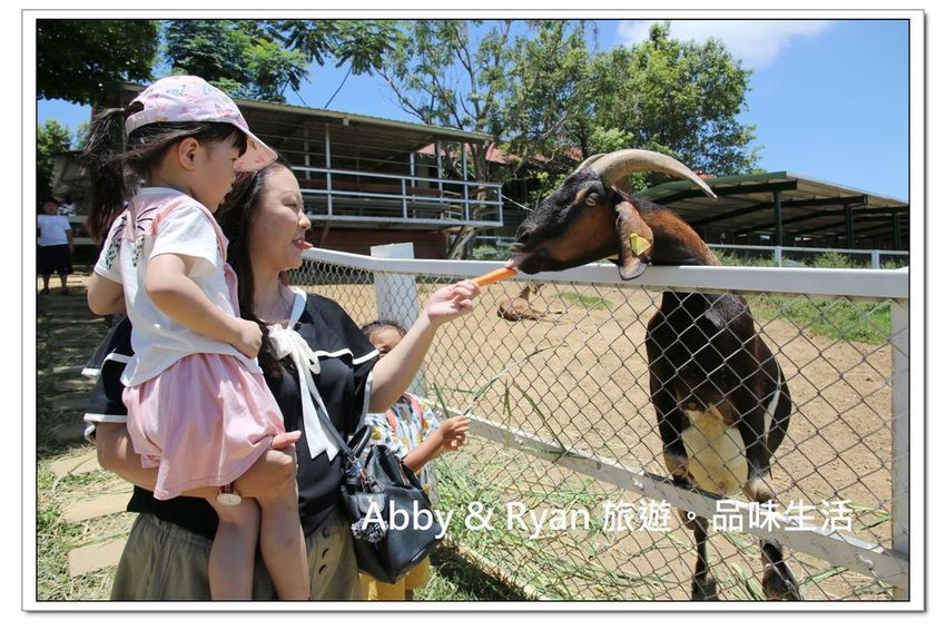 newIMG_2611.jpg newIMG_2611.jpg